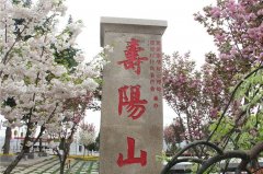 西安高橋墓園怎么樣環境、風水好嗎