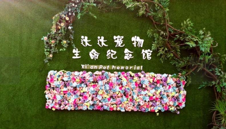 西安寵物墓地價(jià)格？西安寵物墓地在哪里？