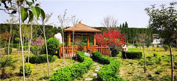 西安閻良漢皇樹葬骨灰公墓在殯葬服務(wù)上有哪些創(chuàng)新和特色?