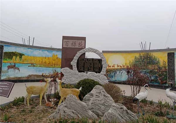 西安漢皇樹葬墓園的環境美化和文化氛圍營造有哪些亮點？