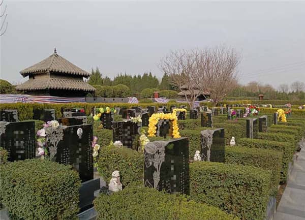 西安閻良漢皇樹葬墓園的環(huán)境和服務質量如何，為何成為許多家庭選擇安息之地的理想之地？