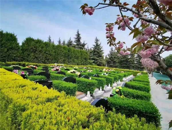西安閻良漢皇樹葬骨灰公墓在園區設計和建筑風格上有哪些獨特之處?