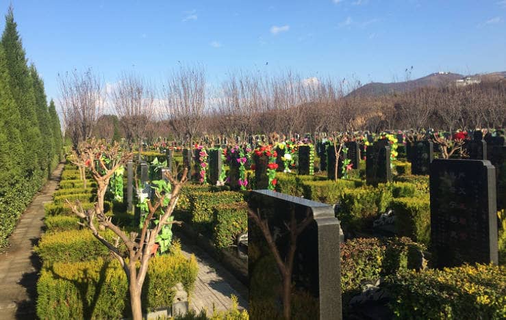 西安臨潼區驪山墓園在服務方面有哪些特色，以確保消費者的滿意和放心？