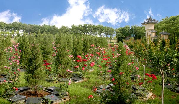 與露天安葬相比,西安鳳棲山墓園的室內(nèi)安葬服務有哪些不同之處?