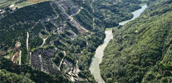 西安壽陽山墓園是否提供個(gè)性化服務(wù)?