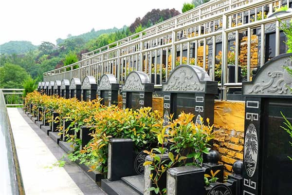 在壽陽山墓園，如果墓穴周圍的綠化出現(xiàn)了病蟲或枯死等問題，應(yīng)該如何處理？