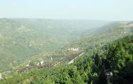 西安壽陽山公墓墓園的具體位置在哪里,周邊環(huán)境如何?