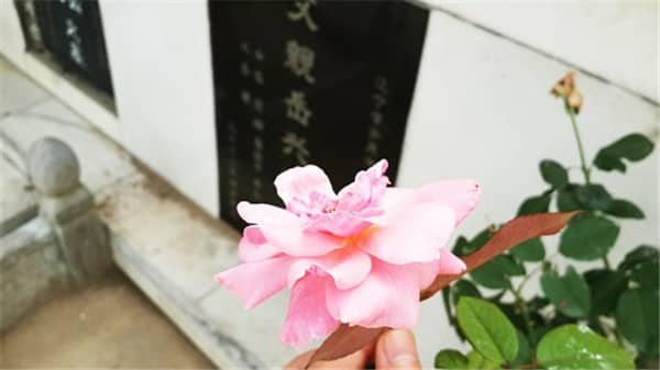 西安墓園有哪些壽陽山墓園，從選擇公墓開始！