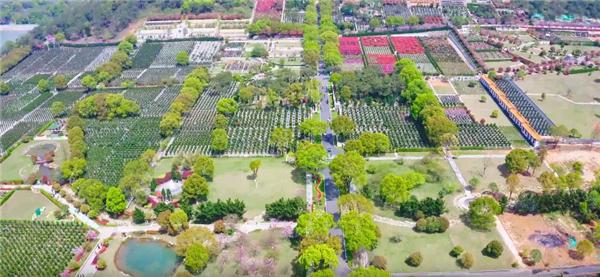 西安壽陽山墓園的自然景觀有哪些獨特之處，如何影響人們的感受？
