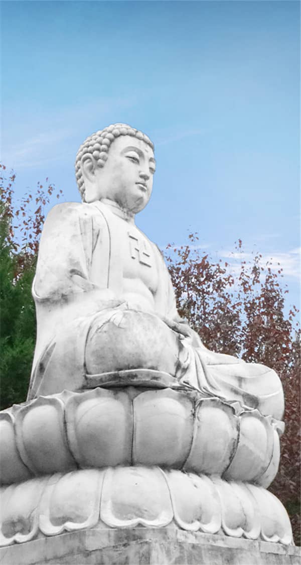 西安壽陽山公墓生態(tài)葬:生命與自然和諧共生的新選擇
