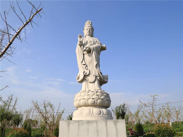 西安壽陽山墓園如何確保花壇葬服務的專業性和可持續性?