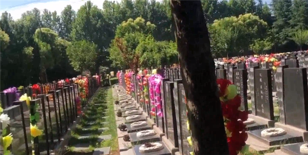 西安壽陽山壁葬墓地，大家都在關注