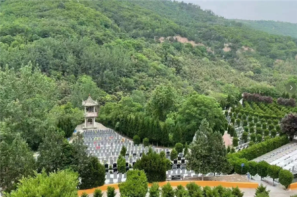 重陽節(jié)在西安壽陽山墓園有哪些特殊的紀(jì)念活動(dòng)或儀式?
