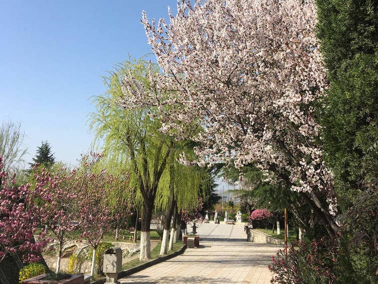 西安市慈恩園墓地聯系電話