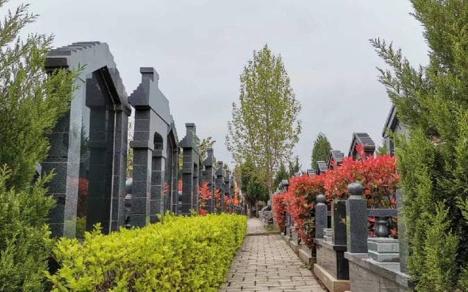 西安市棗園山墓園的環境特點是什么?其地理位置有何優勢?