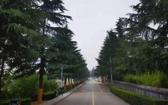 西安棗園山生態陵園在寒衣節期間有哪些措施來確保祭掃活動的安全與秩序?