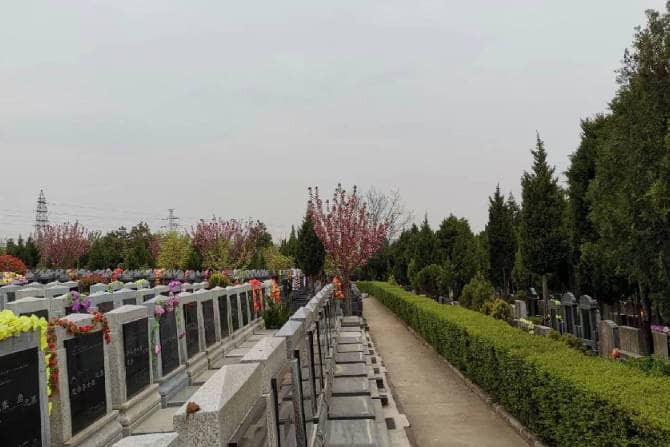 西安棗園山墓園是否提供定制化服務？