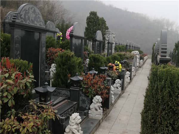 西安九龍山公墓在推出優惠政策和活動時,是否會考慮客戶的特殊需求?