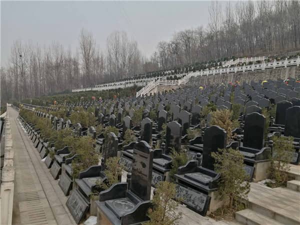 西安九龍山公墓在壁葬服務(wù)的維護(hù)和管理上有哪些措施?