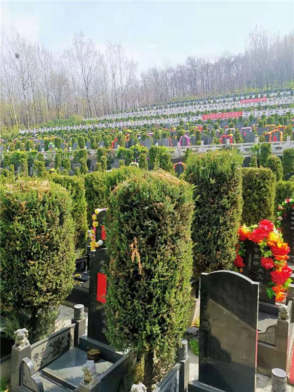 西安九龍山公墓的環(huán)境有哪些特色?