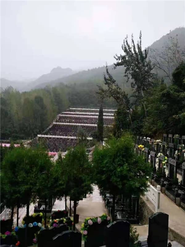 西安九龍山公墓的環境和綠化情況如何?