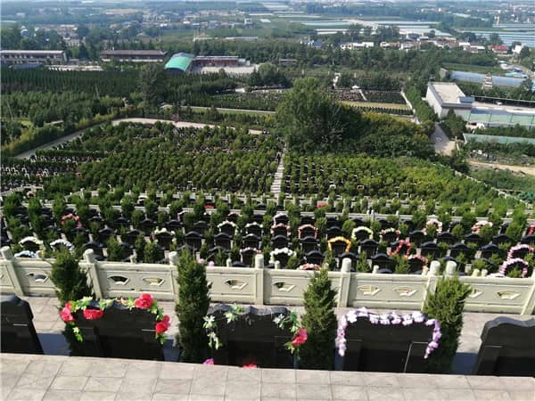 九龍山公墓的環(huán)境特點對其作為墓園的功能有何積極影響?