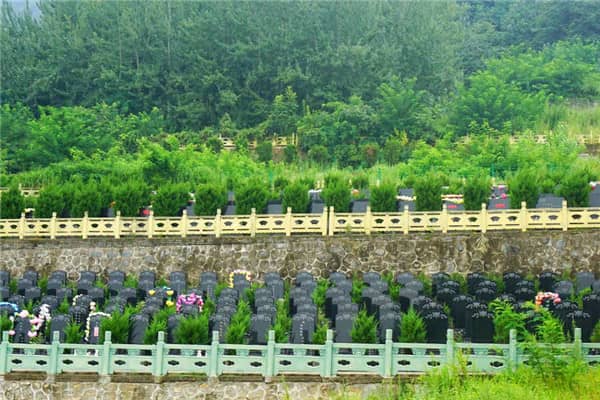 如何便捷到達九龍山公墓?