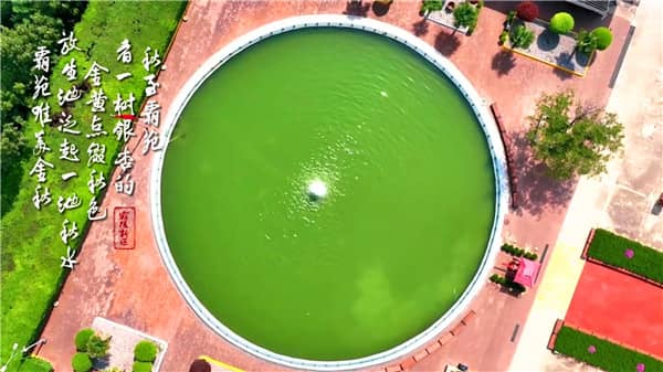 西安市霸陵墓園價位構成揭秘:專業咨詢,透明報價