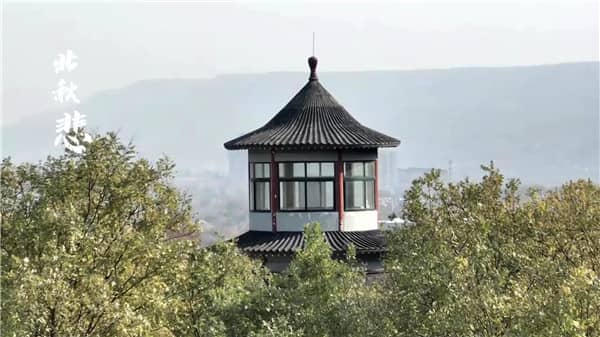 西安霸陵墓園新區深度解析:環境、文化、服務全方位評測