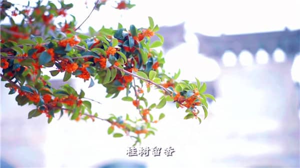 西安市霸陵墓園新區,心靈自由的放逐地