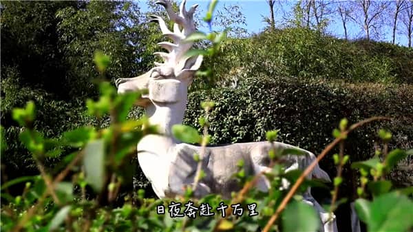 西安霸陵墓園觀音像，一鍵選墓