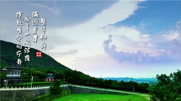 西安市灞橋區霸陵墓園,身在西安?