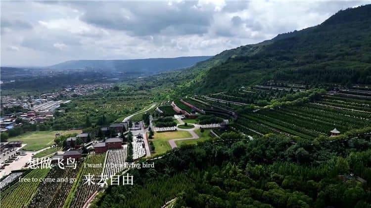 西安霸陵墓園新區(qū)是否提供墓碑清潔和維護(hù)服務(wù)?