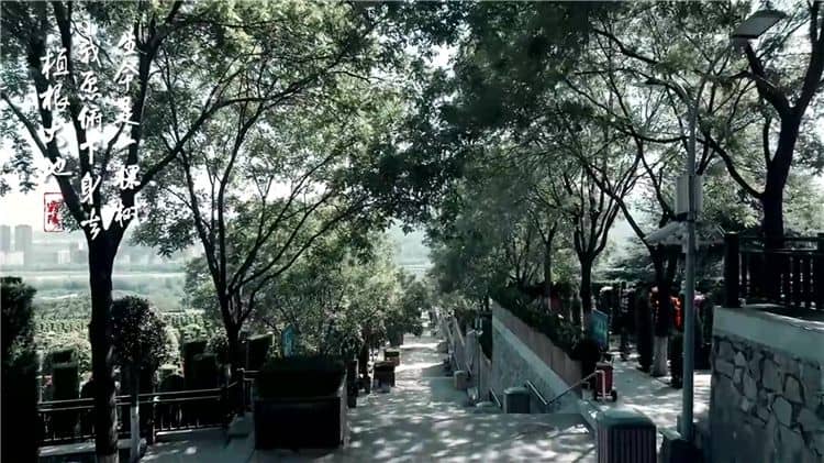 西安霸陵墓園新區的綠化覆蓋率是多少？
