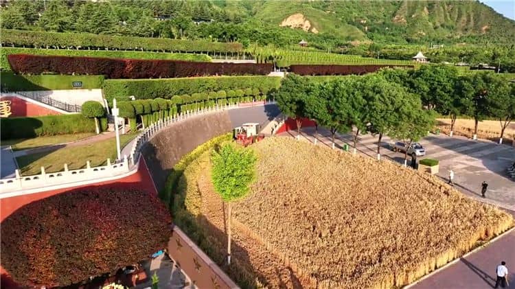 西安霸陵墓園地形特點概括，墓地大比拼