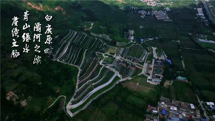 西安霸陵陵園樹葬怎么樣?樹葬墓碑價格多少錢