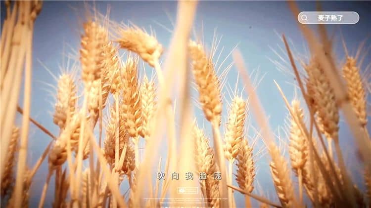 西安霸陵墓園新區是否支持家庭墓地繼承？