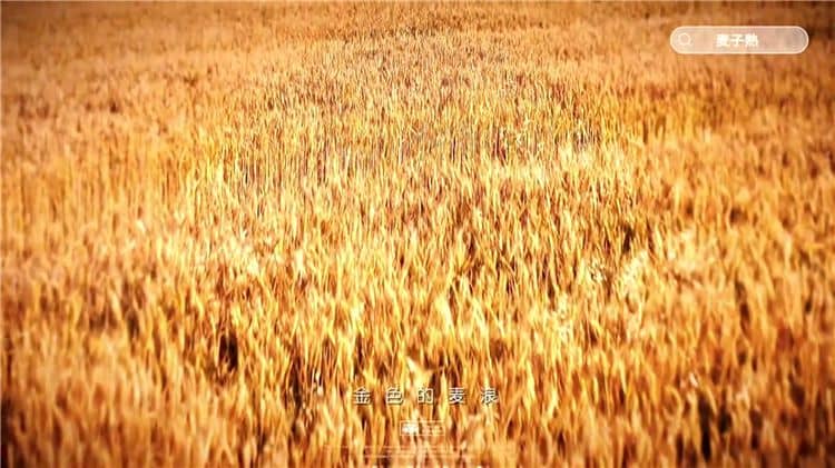 選擇西安霸陵陵園的樹(shù)葬服務(wù)有哪些好處？
