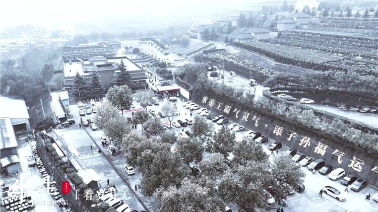 西安灞橋區霸陵墓園如何確保清明節祭掃活動的安全與文明？