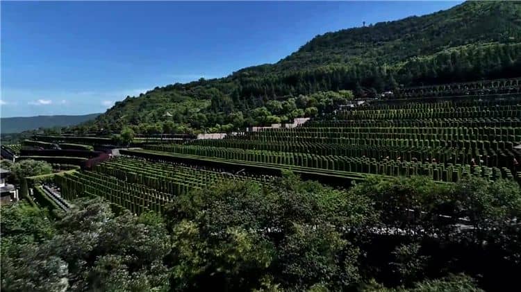 請(qǐng)問西安霸陵墓園新區(qū)有哪些配套設(shè)施?