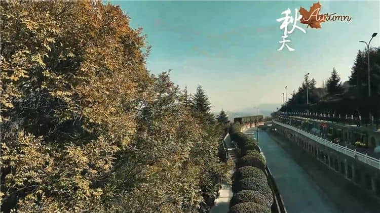 西安霸陵墓園新區具體位于哪個區域和街道,其周邊有哪些主要的交通路線?