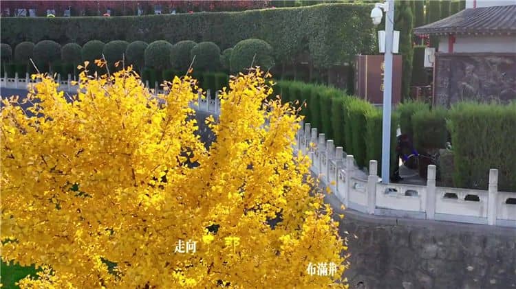 西安霸陵墓園未來(lái)有哪些發(fā)展規(guī)劃和愿景?
