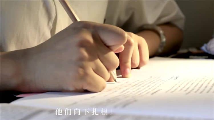 西安霸陵墓園新區(qū)的具體地址在哪里,其風(fēng)水特點(diǎn)有哪些?