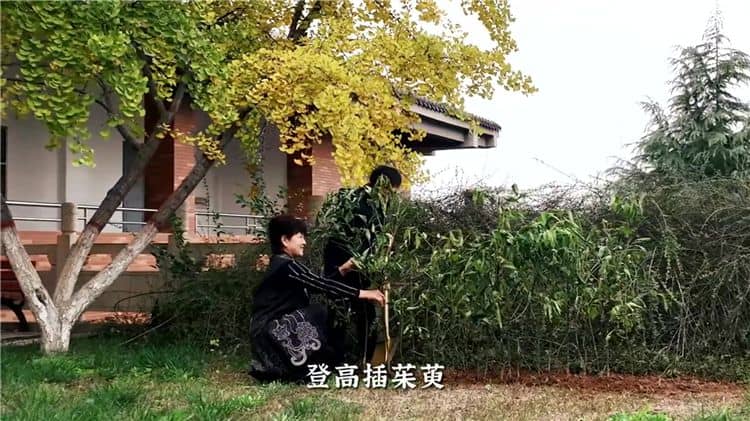 霸陵墓園在西安經營性公墓中有何獨特之處