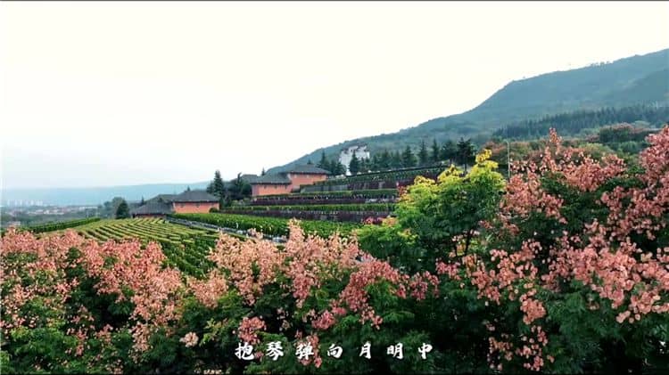 關于環保性，霸陵墓園如何做到減少對環境的影響？