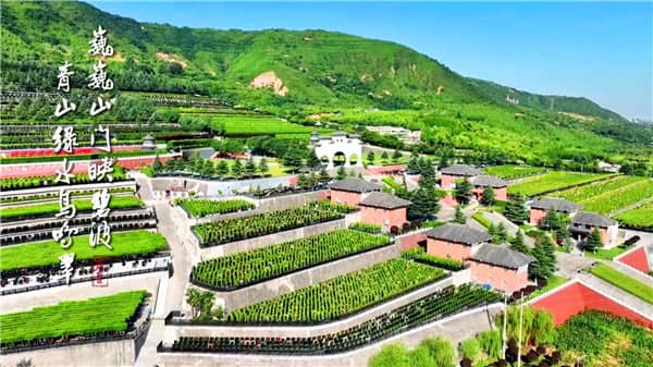 西安霸陵墓園新區(qū)樹(shù)葬草坪