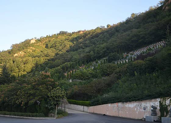 西安高橋墓園是在何時由哪個機構(gòu)批準興建的,并且它的直接領(lǐng)導(dǎo)單位是誰?