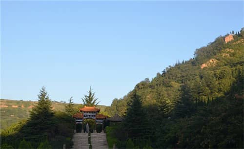 西安高橋墓園內部是如何進行區域劃分的,有哪些特色區域?