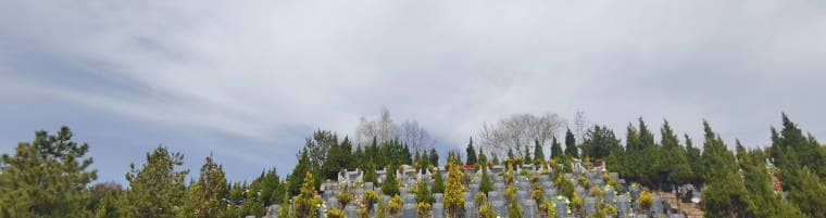 白鹿原墓園各區(qū)域墓地有哪些特點(diǎn)和選擇建議?