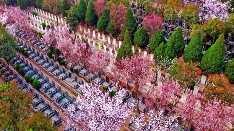 墓地二十年后續(xù)期按原墓地售價(jià)多少比例收費(fèi)?解析續(xù)費(fèi)標(biāo)準(zhǔn)